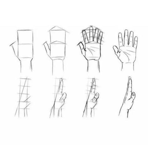 Drawing Ideas ✏️ | Helpful studies Raised Hand Drawing, Raising Hand Drawing Reference, Autonomy Drawing, Hand Drawing Tutorial, Film Videography, Nyc Painting, Drawing Proportions, Hand Anatomy, Hands Tutorial