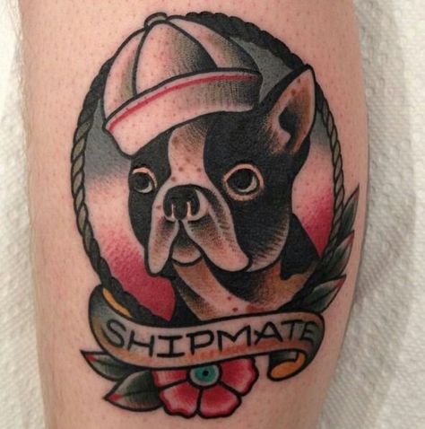 Shipmate boxer American Traditional Boston Terrier Tattoo, Boston Terrier Traditional Tattoo, Traditional Tattoo Frame, Dog Traditional Tattoo, American Traditional Dog Tattoo, Bully Tattoo, Traditional Dog Tattoo, Paul Dobleman, Traditional Tattoo Arm