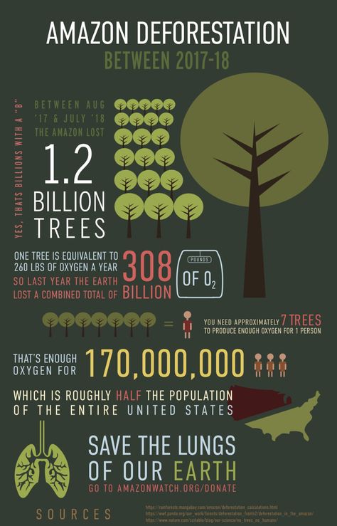 This is an infographic depicting information about the Amazon Rainforest Deforestation Poster, Rainforest Deforestation, Amazon Deforestation, Science Anchor Charts, Amazon Forest, Save Our Earth, The Amazon Rainforest, Infographic Poster, Forest Illustration