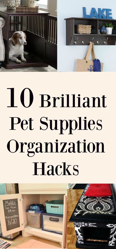 I love my dogs but their stuff is getting a bit out of control. I have been looking for some pet supplies organization ideas so that I can get all of their things neatly out of the way. It is bad enough that I have a 3 year old to pick up after all of … Pet Diy Projects, Pet Supplies Organization, Pet Diy, Dog Organization, Diy Hanging Shelves, Pet Organization, Organizing Hacks, Closet Organization Diy, Wine Bottle Diy Crafts