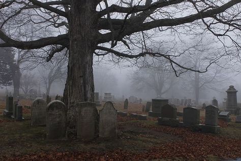 Victorian Cemetery, London Autumn, Dark Landscape, Old Cemeteries, Cemetery Art, Momento Mori, Southern Gothic, Gothic Aesthetic, New London