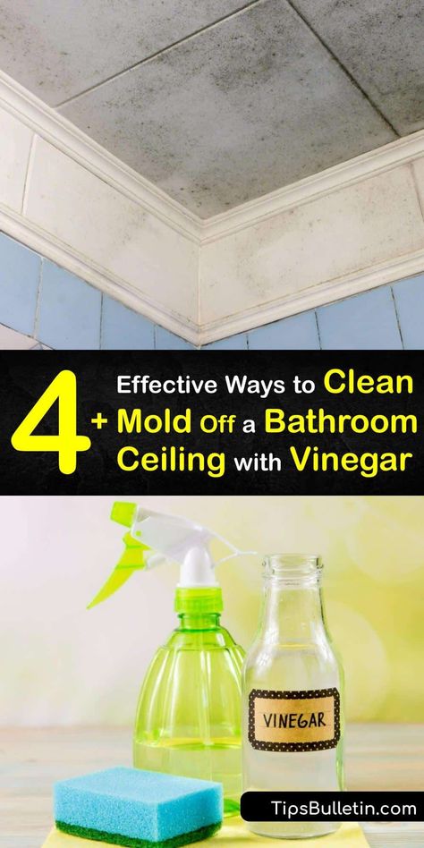 If killing mold is your priority, we’ve got the mold removal tips you need. Discover how to remove bathroom mold and stop mold growth on any porous surface with vinegar. Make your bathroom sparkle again with our in-depth tutorial. #remove #mold #bathroom #ceiling Cleaning Bathroom Mold, Mold On Bathroom Ceiling, Bathroom Mold Remover, Bathroom Mold, Diy Vinegar, How To Remove Mold, Mold And Mildew Remover, Mold Spray, Vinegar Cleaner