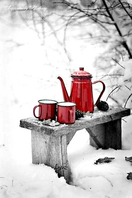 Winter Still Life Photography, Coffee In Winter, Winter Still Life, Christmas Scenery, Winter Nature, Winter Print, Winter Forest, Christmas Charms, Still Life Art