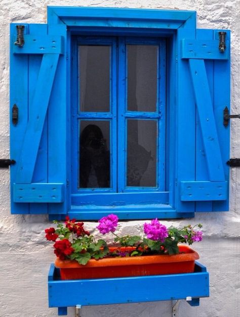 Bodrum, Turkey                                                                                                                                                                                 More French Townhouse, Greek Homes, Blue Windows, Bodrum Turkey, Blue Shutters, Diy Shutters, Window Box Flowers, Casa Vintage, House Window