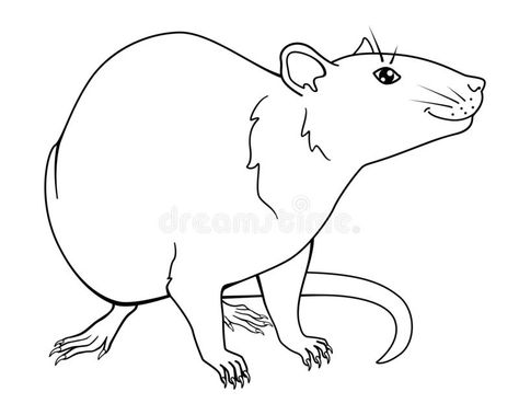 Rat Symbol, Outline Illustration, Chinese Year, Year Of The Rat, Drawing Vector, A Symbol, Design Graphics, Anatomy Art, Merchandise Design