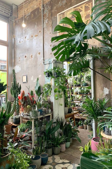 Things to do in Hackney Central: A local's guide | CN Traveller Urban Jungle Bedroom, Interior Inspiration Living Rooms, Hackney London, Jungle Room, City Illustration, Local Guide, Room Inspiration Bedroom, Apartment Room, Balcony Garden