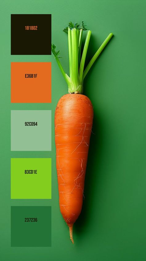 Colors:
181802
E36B1F
92C094
83CD1E
237236 Carrot Colour, Orange Color Palettes, Hex Color Palette, Color Schemes Colour Palettes, Organic Nature, Branding Resources, Green Backdrops, Green Colour Palette, Hex Colors