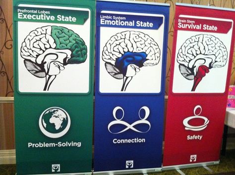 Conscious Discipline:  Brain States and How to Approach Them Conscious Discipline Connect Activities, Brain States Conscious Discipline, Brain States, Conscious Discipline Feeling Buddies, 7 Powers Of Conscious Discipline, Seven Powers Conscious Discipline, Safe Place Conscious Discipline, Thrive Approach, Emotional Bonding