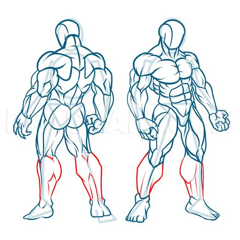 How To Draw Muscles, Step by Step, Drawing Guide, by KingTutorial | dragoart.com How To Draw Muscles, Male Figure Drawing, Human Anatomy Drawing, Human Figure Drawing, Images Kawaii, Human Anatomy Art, 3d Drawings, Anatomy Drawing, Figure Drawing Reference