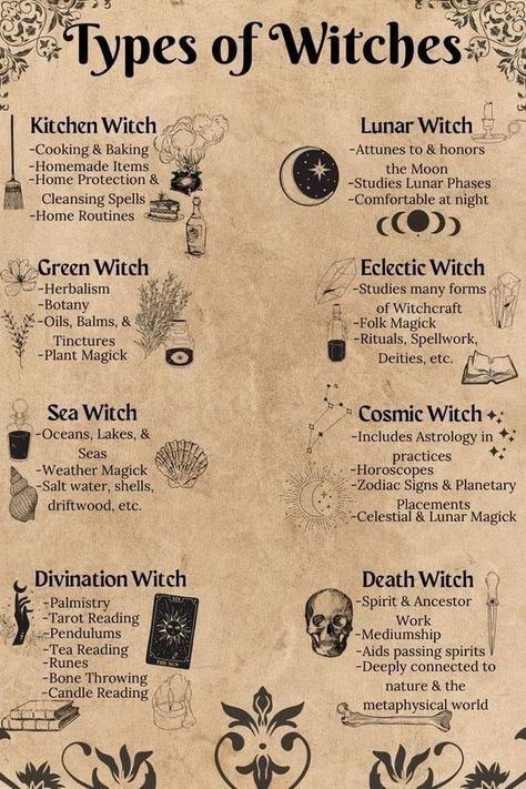 Green Witch Kitchen, Witch Apps, Spell Ingredients, Witch Kitchen, Lunar Witch, Astrology Forecast, Tea Reading, Grimoire Book, Eclectic Witch