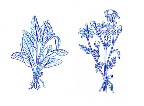 CUBICLE REFUGEE — Some herb bundles for protection and calm // Bundle Tattoo, Herb Bundles, Stick Drawings, Ghost Light, Pen Illustration, Floral Doodle, Drawing Simple, Tattoo Flash Art, Fun Illustration