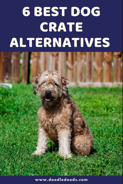 Best Dog Crate Alternatives Make A Dog Crate Look Better, Dog Crate Alternative, How To Crate Train A Dog, Crate Alternatives For Dogs, Make Dog Crate Pretty, How To Crate Train An Older Dog, Dog Tether, Small Dog Crate, Puppy Facts