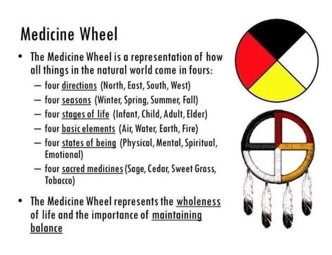 Circle Of Courage, Native American Medicine Wheel, Native American Language, Native Beauty, Indigenous Studies, Native American Prayers, Indigenous Education, Native American Spirituality, Indigenous Knowledge