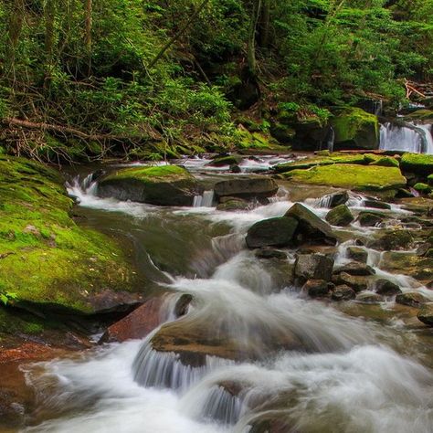 Waterfall - Pisgah National Forest Pisgah National Forest, Photo Walk, National Forest, Asheville, Girls Trip, Places To Go, A Photo, Turning, Walking