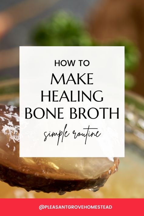 make healing bone broth from scratch! This covers how to make a routine to always have nourishing bone broth on hand. How To Make Chicken Stock From Rotisserie Chicken, Making Stock From Turkey Bones, How To Make Bone Broth, Beef Udon, Chicken Bone Broth Recipe, Bone Broth Soup, Make Chicken Broth, Costco Rotisserie Chicken, Apple Cider Vinegar Chicken