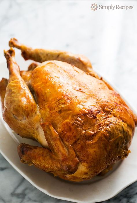 My mother's tried and true roast turkey recipe. How to cook a turkey for Thanksgiving. Best way? Roast it Breast-side Down! ~ http://SimplyRecipes.com Making Turkey Gravy, Paleo Thanksgiving, Roast Turkey Recipes, Roast Turkey, Turkey Recipes Thanksgiving, Turkey Dishes, Turkey Recipe, Turkey Dinner, Cooking Turkey