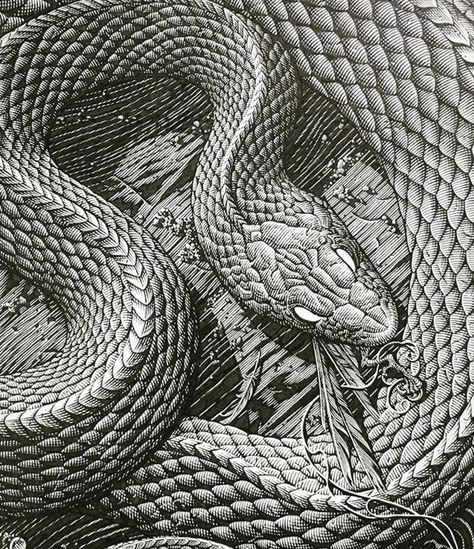 Aaron Horkey Arte Zombie, Scale Drawing, Snake Art, The Siren, Engraving Illustration, Dark Art Illustrations, A Snake, Ink Illustrations, Pen Art