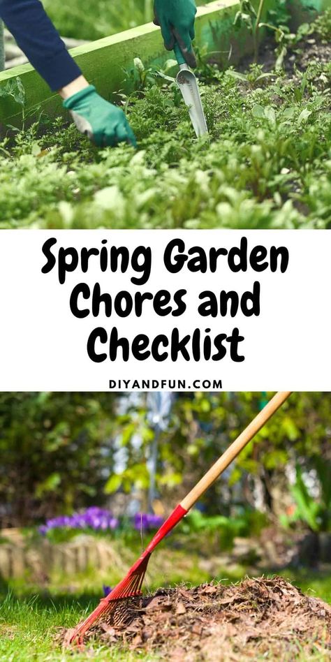 Spring Garden Chores and Checklist, a listing of the 10 things that you can do in the Spring to get your garden ready. Spring Garden Clean Up, Garden Clean Up, Spring Yard Clean Up, Spring Cleaning Yard, Gardening Checklist, April Gardening, Garden Checklist, Spring Clean Up, Spring Cleaning Checklist