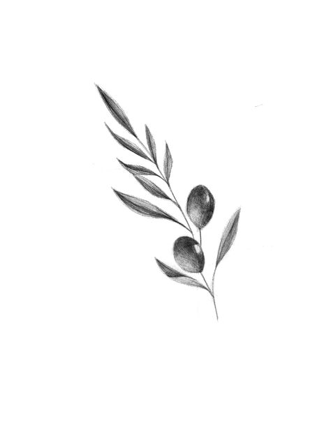 Line Only Tattoos, Delicate Olive Branch Tattoo, Oliver Branch Tattoo, Olive Plant Tattoo, Olive Tattoo Design, Fine Line Olive Branch Tattoo, Olive Branch Simple, Olive Branch Tattoo Meaning, Olive Branch Tattoo Design