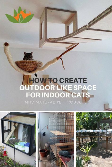 Cat Playroom Ideas, Cat Corner Ideas Spaces, Cat Room Indoor, Cat Corner Ideas, Cat Rooms Indoor, Indoor Cat Room Ideas, Cat Playroom, Cat Room Ideas, Cat Room Diy