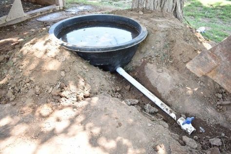 Duck Pond With Drain, Duck Pool With Drain, Diy Duck Waterer, Diy Duck Enclosure Ideas, Duck Pool Ideas, Diy Duck Pond, Duck Feeder, Duck Enclosure, Duck Pens