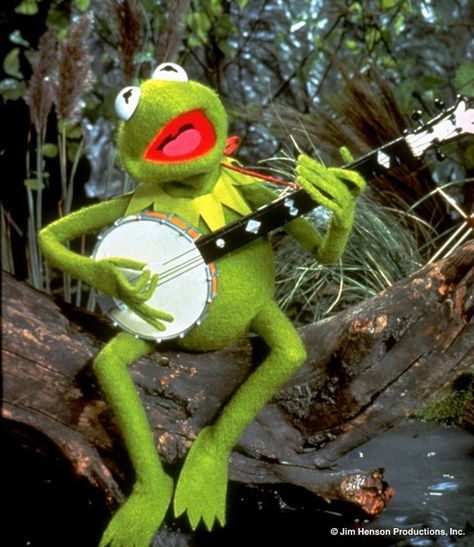 Kermit The Frog Costume, Frog Costume, Fraggle Rock, Rainbow Connection, The Muppet Show, Miss Piggy, Kermit The Frog, Jim Henson, Simple Green