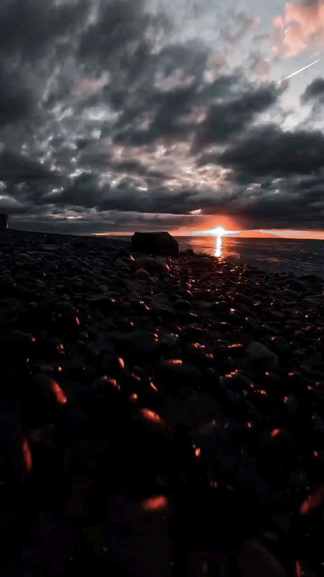 The Beach, Sun, Nature