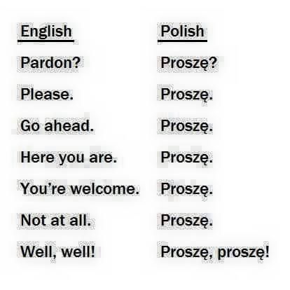 Lol, so many uses for proszę ! Polish Alphabet, Learn Polish, Polish People, Polish Words, Polish Memes, Learning Languages Tips, Polish Language, Polish Recipes, Learning Languages