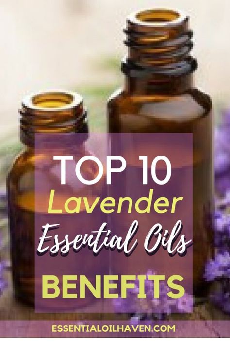 Top 10 Lavender Essential Oil Benefits https://www.essentialoilhaven.com/top-10-lavender-essential-oil-benefits/ Lavender Essential Oil Benefits, Essential Oils Benefits, Medical Remedies, Oils Benefits, Lavender Benefits, Essential Oils Guide, Essential Oils For Sleep, Essential Oil Benefits, Healthy Dog Treat Recipes