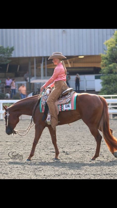 Ranch Horse Show Attire, Ranch Riding Outfit, Western Show Outfits, Aqha Western Pleasure, Western Pleasure Outfit, Showmanship Outfit, Western Horsemanship, Aqha Horses, Western Show Clothes