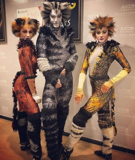 Cats The Musical Costume, Musical Outfits, Cat Outfits, Jellicle Cats, Cats The Musical, Musical Costumes, Cats Musical, About Cats, Musical Theatre