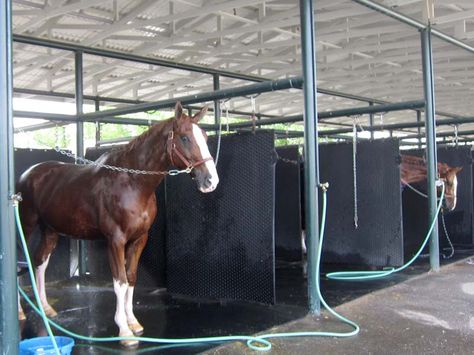 what does a horse washing station look like - Google Search Luxury Horse Stables, Perfect Yard, Luxury Horse, Wash Station, Barn Stalls, Washing Station, Horse Washing, Dream Farm, Horse Stables