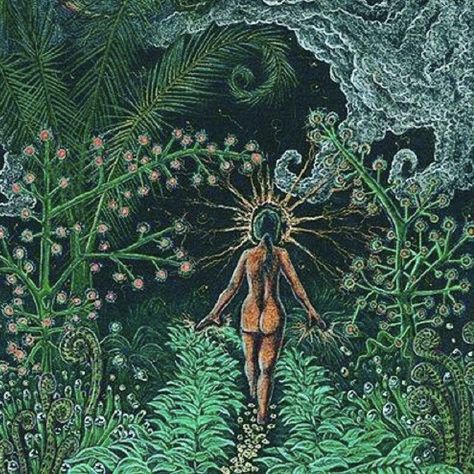 Jean Shinoda Bolen, Graham Hancock, The Ego, Into The Forest, Visionary Art, Forest, Lost, Plants