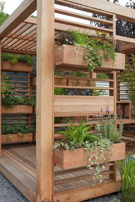 Pergola with vertical containers Pergola Architecture, Mosquito Curtains, Pergola Diy, Backyard Plants, Vertical Gardens, Deck With Pergola, Walled Garden, Backyard Spaces, Outdoor Backyard