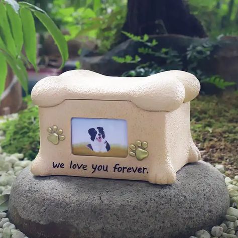 Pet Memorial Picture Frame, Pet Caskets, Pet Urns Dogs, Pet Cremation Urns, Memorial Ideas, Dog Urns, Cat Urns, Pet Stroller, Pet Cremation