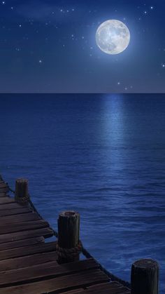 Beautiful Moon Night, Blue Moon Wallpaper, Wattpad Background, Episode Interactive Backgrounds, Scenery Background, Night Scenery, Trending Pins, Beautiful Moon, Beautiful Landscape Wallpaper