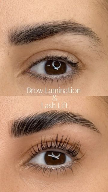 Aysen Shiva on Instagram: "🎁 Get holiday-ready with our Brow Lamination and Lash Lift combo! 🌟 Elevate your look this season with perfectly groomed brows and stunning lashes that’ll make your eyes sparkle. ✨ Treat yourself or a loved one to the gift of effortless beauty. 🎄 Book now to shine at all your holiday gatherings! 💃 #HolidayGlowUp #BrowLamination #LashLift #FestiveFabulousness #browlaminationorangecounty #ocbrowlamination #oclashlift #danapointlashlift #oclashspecialist #bayarealashlift #bayareabrowlamination #bayarealashlifttraining #bayareabrowlaminationtraining #oclashlifttraining #ocbrowlaminationtraining #lashes #browshaping" Fluffy Brow Lamination, Lash And Brow Lamination, Brow Lamination And Lash Lift, Brow Tint Before And After, Brow Lamination Diy, Eyebrow Lamination Before And After, Brow Lamination Before And After, Lash And Brow Lift, Lash Lift And Brow Lamination