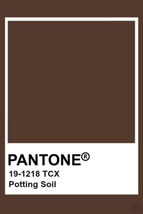 Potting Brown Pantone Shades, Pantone Chocolate Brown, Shades Of Brown Pantone, Brown Colour Pantone, Soil Color Palette, Pantone Colors Brown, Brown Pantone Palette, Pantone Brown Shades, Dark Brown Pantone