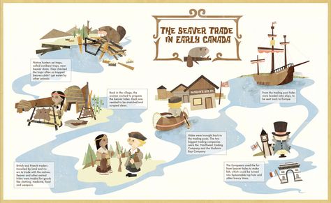 Beaver Fur Trade in Early Canada illustration Canada Illustration, Canadian Social Studies, Beaver Pelt, Native American Art Projects, Historical Thinking, Indigenous Studies, Indigenous Education, Early Explorers, Canada History