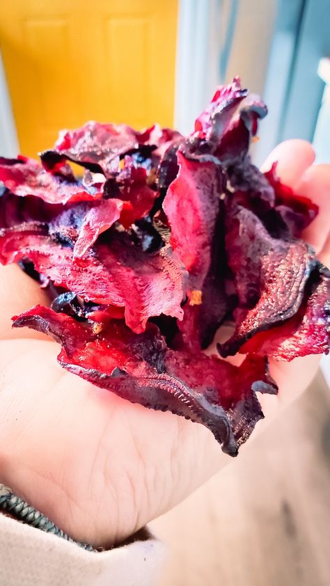 Vegetable Chips Recipe, Beet Chips Recipe, Dehydrator Recipes Fruit, Dehydrated Recipes, Beet Chips, Vegetable Chips, Salt And Vinegar, Dehydrated Vegetables, Healthy Remedies