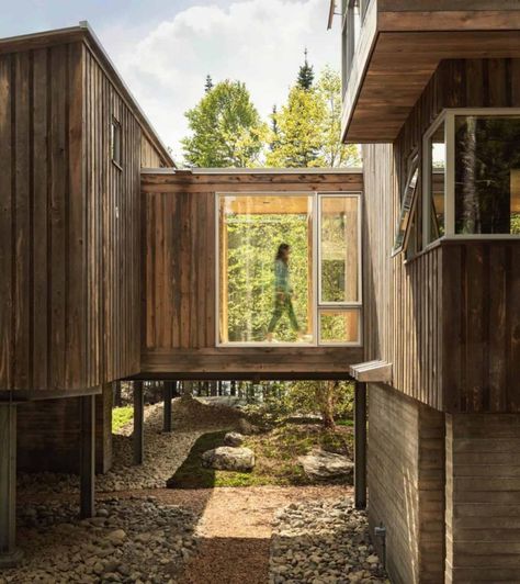 Coastal Cabin On Stilts With Ocean Views Peeking Through The Trees Rustic Modern Cabin, Cabin On Stilts, Coastal Cabin, House On Stilts, Glazed Walls, Steel Columns, Getaway Cabins, Modern Cabin, Stilts