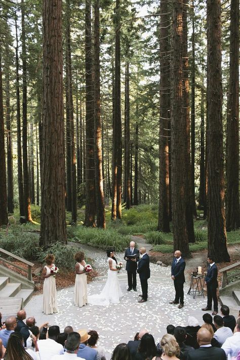 Berkeley Botanical Garden Wedding, Uc Berkeley Botanical Garden Wedding, Red Wood Forest Wedding, Deep Red Color Palette, Forest Weddings, Red Color Palette, Outdoor Elopement, Botanical Gardens Wedding, Uc Berkeley