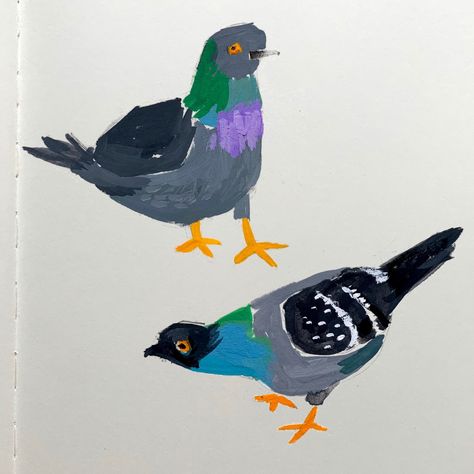 All Posts • Instagram Pigeon Acrylic Painting, Birds Illustration Drawing, Pigeons Drawing, Bird Illustration Drawing, Pigeon Painting, Pigeon Illustration, Dr Doolittle, Pigeon Books, Pigeon Art