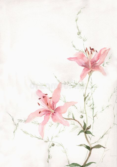 Delphinium Arrangement, Easter Lily Flower, Pink Lily Flower, Lilies Drawing, White Lily Flower, Delphinium Flowers, Pink Lilly, Lilly Flower, Watercolor Art Diy