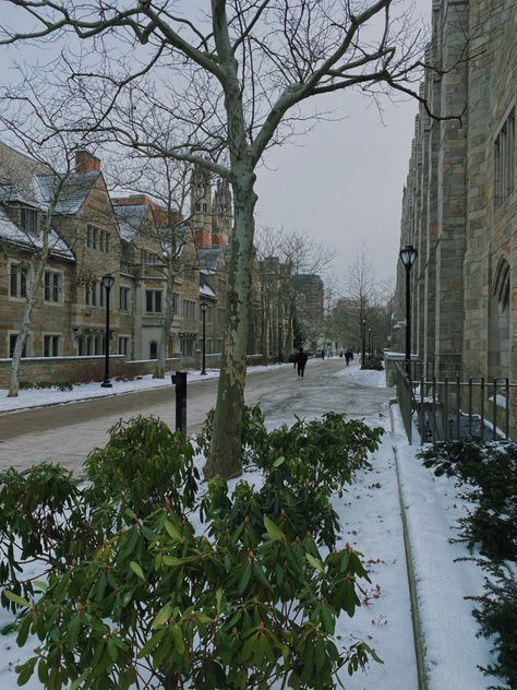 Yale College, Ivy League Colleges, Ninth House, Ivy League Schools, Winter Things, Sweet Grace, Dream College, Dream School, Yale University