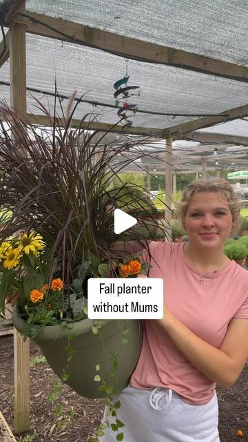 Needmore Farms | Gardening, DIY, and Recipes on Instagram: "These temperatures might not feel like it but, FALL is coming 🍂 

Keep this combo in mind for your fall planters, especially if mums aren’t your favorite 🧡 

Recipe:
1 16” or larger pot 
1 gallon purple fountain grass 
1 gallon sombrero lemon echinacea 
2 4” marigolds 
2 4” ornamental cabbage or kale 
1 4” ficus or creeping Jenny (we prefer to plant these in pots only as they spread like crazy in the ground) 

#fall #fallgarden #fallflowers #fallplanting #fallplanters #marigold #garden #gardentips #gardeningtips #needmorefarms" Purple Fountain Grass In Pots, Fall Planter Ideas, Mum Planters, Marigold Garden, Diy Planters Pots, Ornamental Kale, Ornamental Cabbage, Fountain Grass, Creeping Jenny