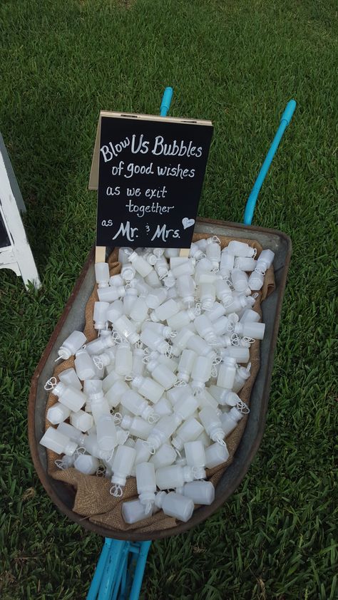 Bubbles At Ceremony Weddings, Bubble Blowing At Wedding, Bubbles Ceremony Exit, Bubbles Walking Down The Aisle, Bubble Basket For Wedding, Bubble Wedding Pictures, Wedding With Bubbles, Bubbles For Wedding Ceremony, Bubble Walk Out Wedding