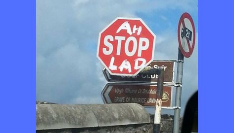 Funny Road Signs And Situations You Can Find In Ireland Irish Jokes Hilarious, Irish Memes, St Patricks Day Jokes, Irish Jokes, Funny Road Signs, St Patricks Day Quotes, Jokes Hilarious, Hilarious Humor, Irish Culture