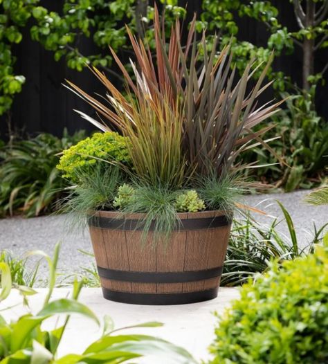 Barrel Garden Ideas, Barrel Planter Ideas, Barrel Garden Planters, Wine Barrel Garden, Whiskey Barrel Planter, Wine Barrel Planter, Plastic Planter, Whisky Barrel, Barrel Planter