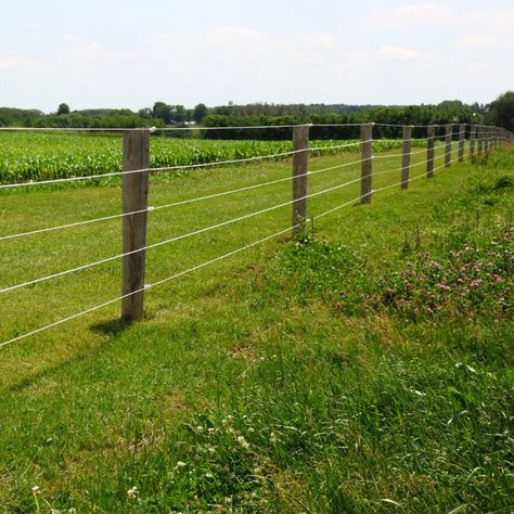 Protecting Your Homestead Property Property Fence, Dog Ear Fence, Homestead Property, Modern Country Living, Building A Trellis, Electric Fencing, Garden Uk, Growing Vines, Fencing Ideas